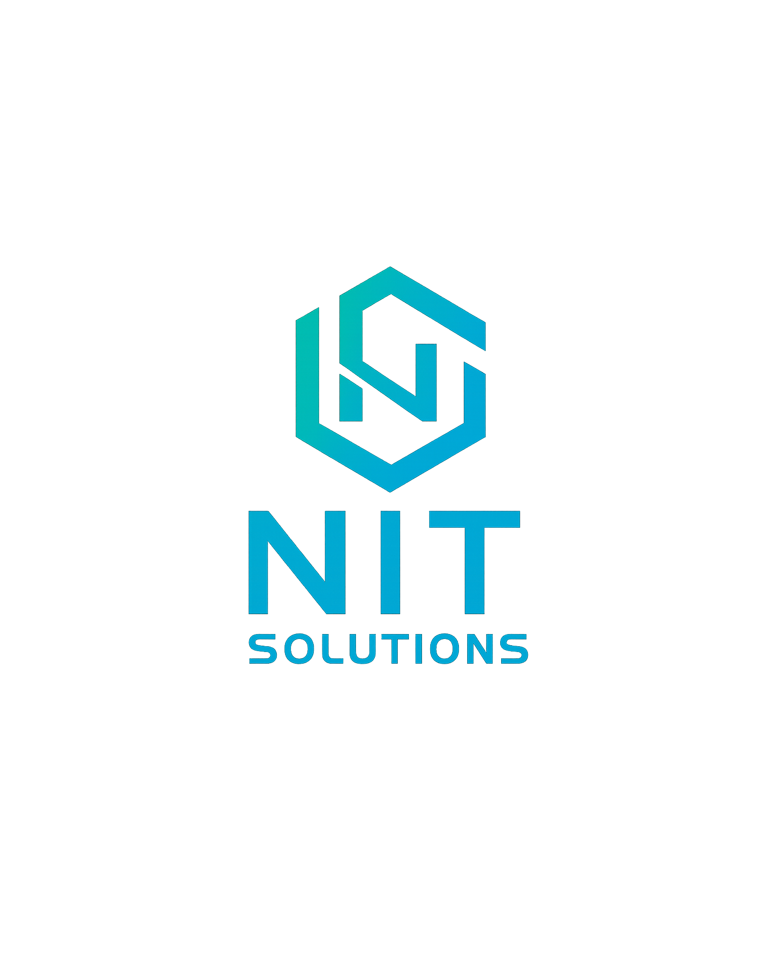 Chi Siamo - NIT Solutions visual